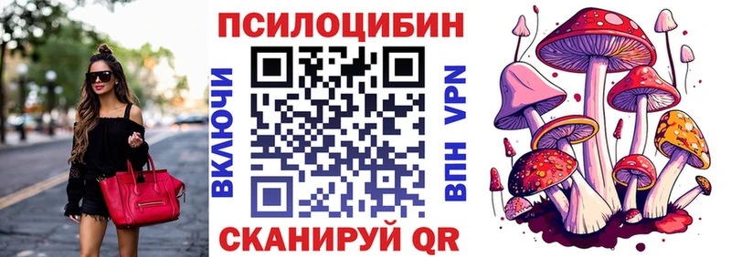 цена наркотик  darknet состав  Псилоцибиновые грибы Magic Shrooms  Торопец 