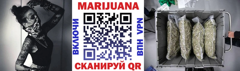 KRAKEN ONION  Торопец  Каннабис план 